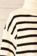 Arcot | Striped Knit Turtleneck Sweater