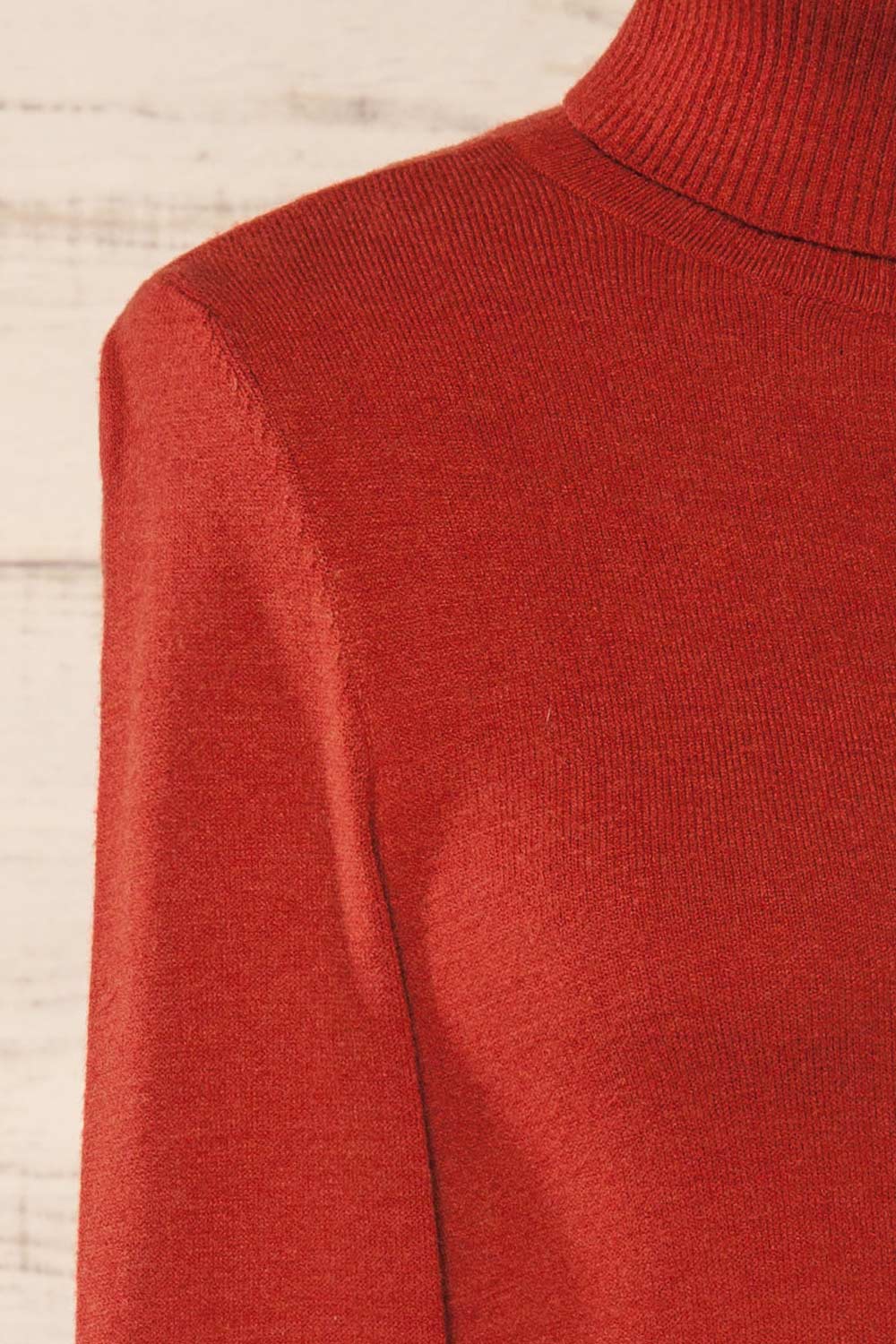 Derby Rust | Knit Turtleneck w/ Long Sleeves