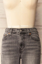 Fidenza | Slim Leg Grey Denim Pants