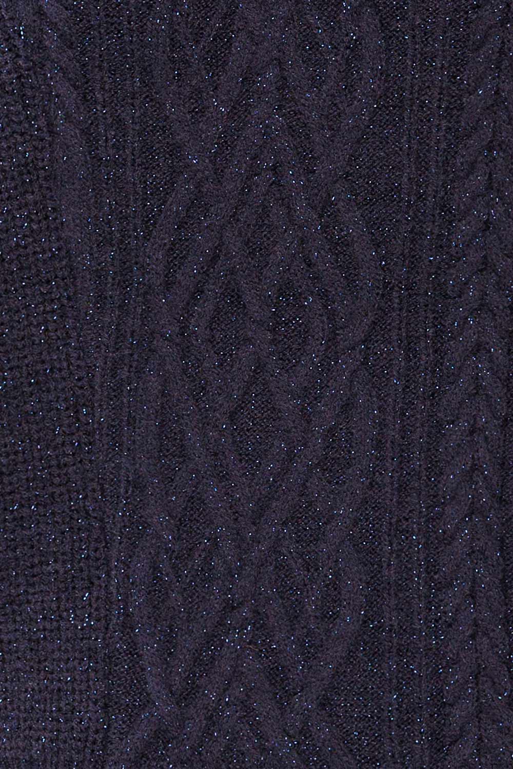 Waterbury | Sparkling Navy Turtleneck Sweater